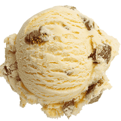 Holidays - Dutch Cookie Speculoos
